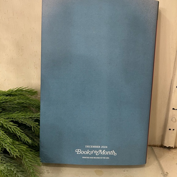 The Most Wonderful Crime of the Year by Ally Carter - Picture 2 of 2